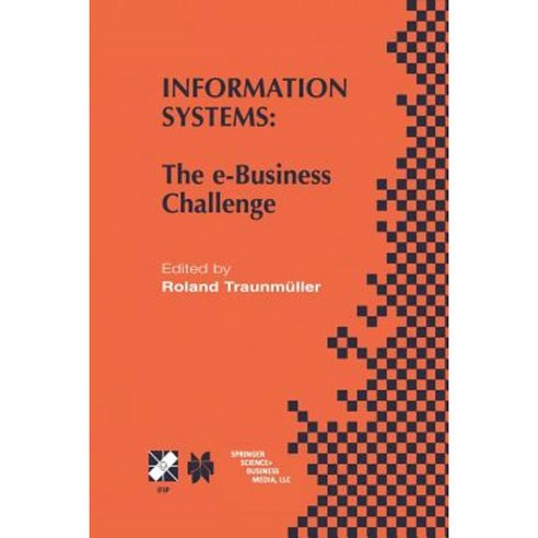 Information Systems: The E-Business Challenge Paperback, Springer