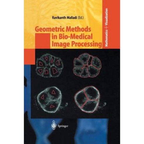 Geometric Methods in Bio-Medical Image Processing Paperback, Springer
