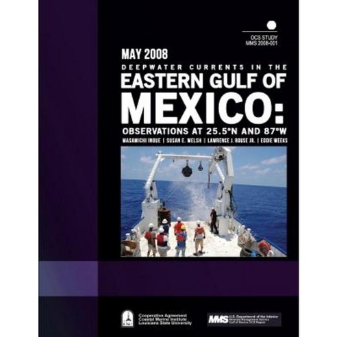 Deepwater Currents in the Eastern Gulf of Mexico: Observations at 25.5n and 87w Paperback, Createspace