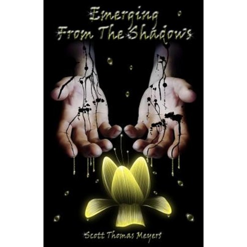 Emerging from the Shadows Paperback, True Beginnings Publishing