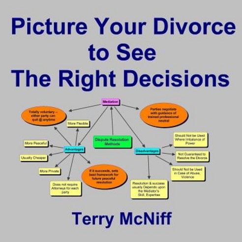 Picture Your Divorce to See the Right Decisions Paperback, Jp Reammard Publishing
