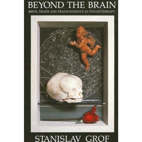 Beyond the Brain-Birth: Birth Death and Transcendence in Psychotherapy Paperback, State University of New York Press