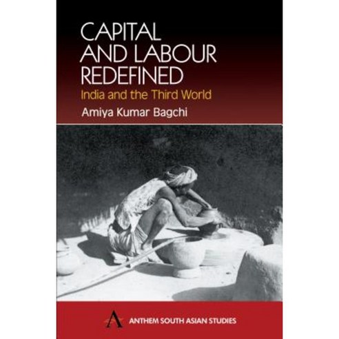 Capital and Labour Redefined: India and the Third World Hardcover, Anthem Press