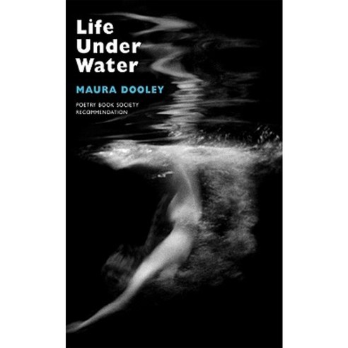 Life Under Water Paperback, Bloodaxe Books