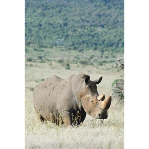 Alive! White Rhino - Natural - Photo Art Notebooks (6 X 9 Series) Paperback, Blurb