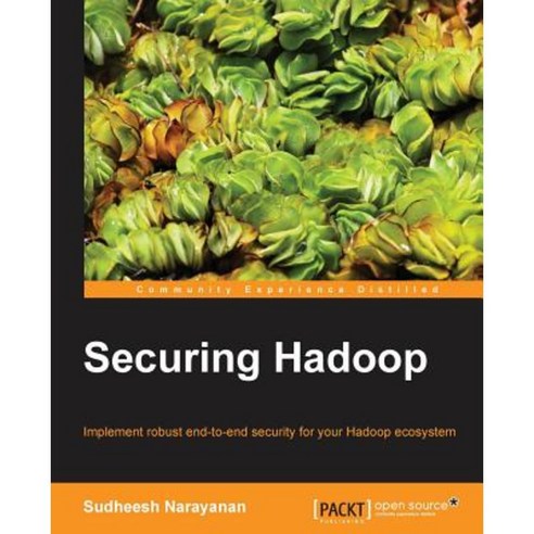 Securing Hadoop Paperback, Packt Publishing
