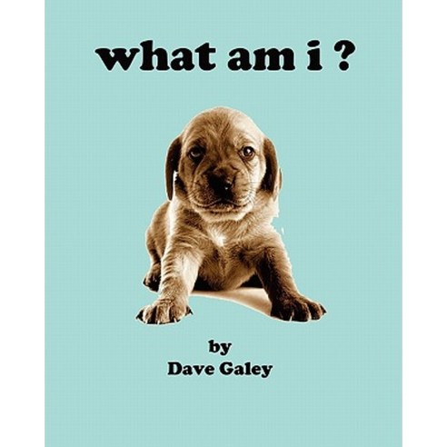 What Am I Paperback, Winlock Publishing Company