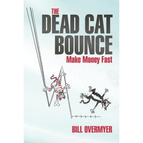 The Dead Cat Bounce: Make Money Fast Paperback, iUniverse