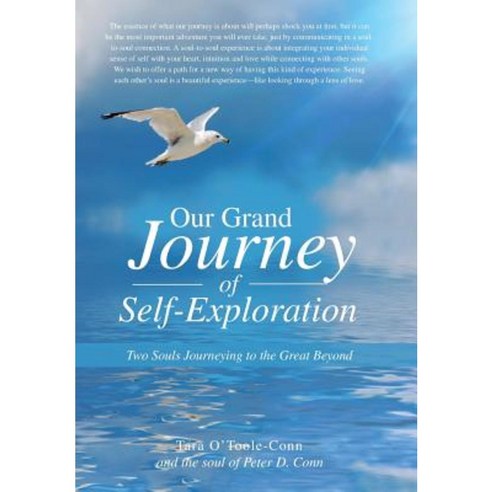 Our Grand Journey of Self-Exploration: Two Souls Journeying to the Great Beyond Hardcover, Balboa Press