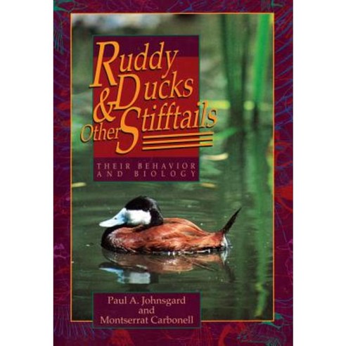 Ruddy Ducks & Other Stifftails: Their Behavior and Biology Paperback, University of Oklahoma Press