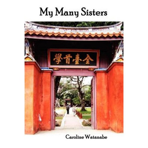 My Many Sisters the Journal of a Volunteer with the Daughters of Charity Paperback, Ink Brush Press