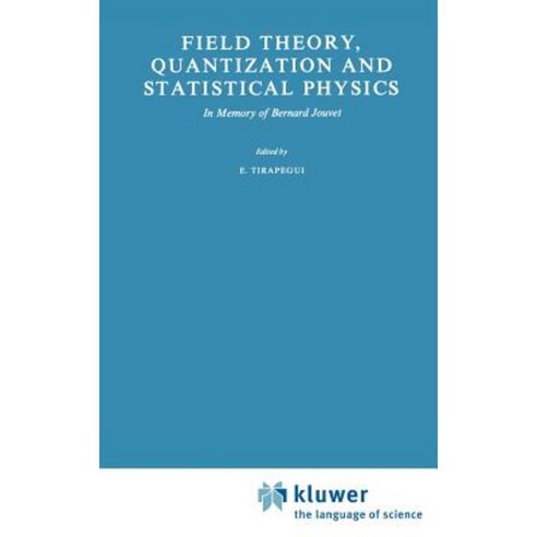 Field Theory Quantization and Statistical Physics: In Memory of Bernard Jouvet Hardcover, Springer