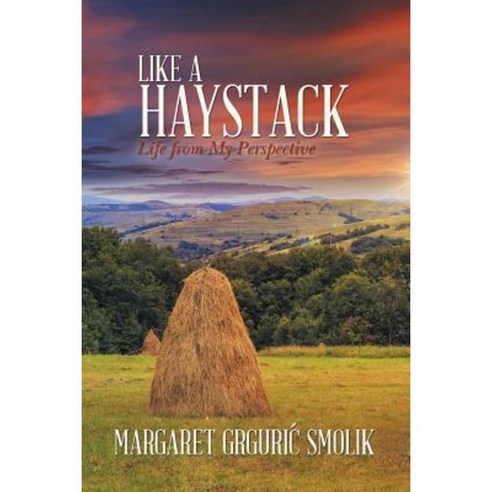 Like a Haystack: Life from My Perspective Paperback, WestBow Press