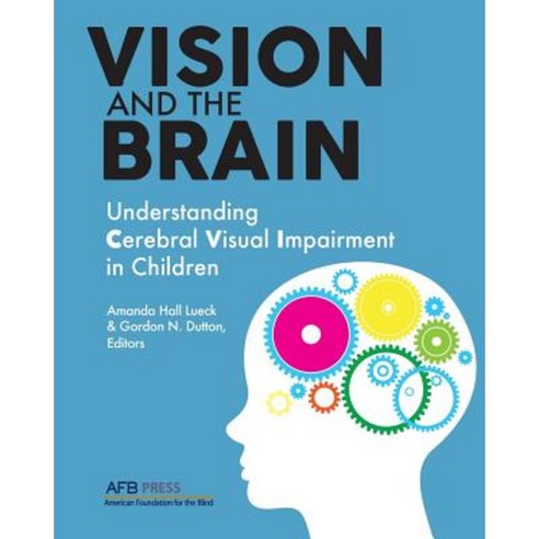 Vision and the Brain: Understanding Cerebral Visual Impairment in Children Paperback, AFB Press