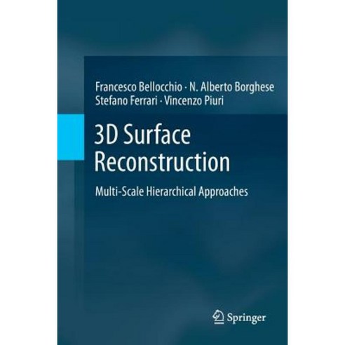 3D Surface Reconstruction: Multi-Scale Hierarchical Approaches Paperback, Springer