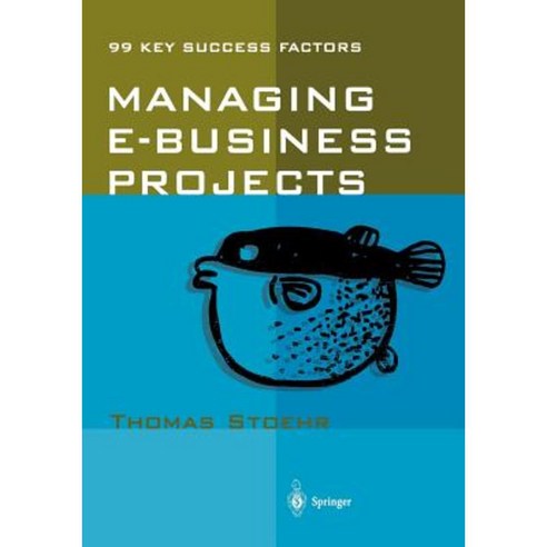 Managing E-Business Projects: 99 Key Success Factors Paperback, Springer