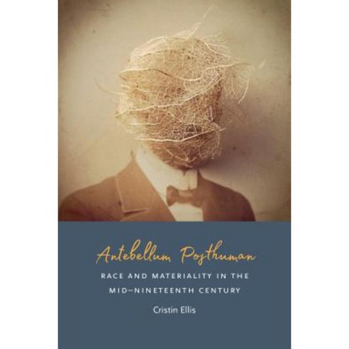 Antebellum Posthuman: Race and Materiality in the Mid-Nineteenth Century Paperback, Fordham University Press