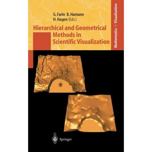 Hierarchical and Geometrical Methods in Scientific Visualization ...