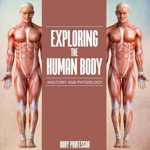 Exploring the Human Body Anatomy and Physiology Paperback, Baby Professor