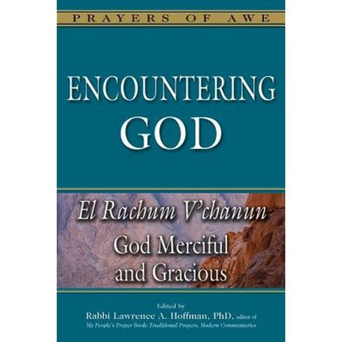 Encountering God: God Merciful and Gracious--El Rachum V''Chanun Hardcover, Jewish Lights Publishing