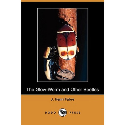 The Glow-Worm and Other Beetles (Dodo Press) Paperback, Dodo Press
