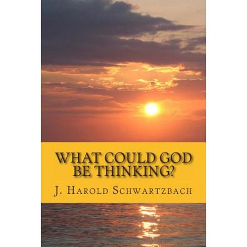 What Could God Be Thinking? Paperback, Createspace