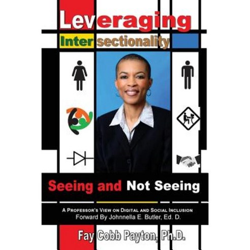 Leveraging Intersectionality: Seeing and Not Seeing Paperback, Richer Press