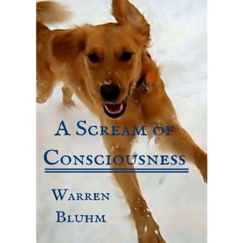 A Scream of Consciousness Paperback, Lulu.com