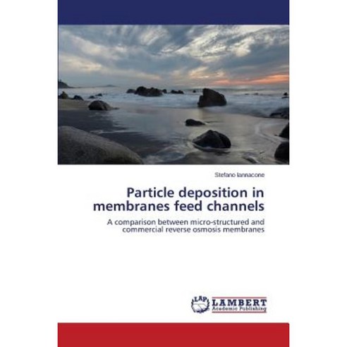 Particle Deposition in Membranes Feed Channels Paperback, LAP Lambert Academic Publishing