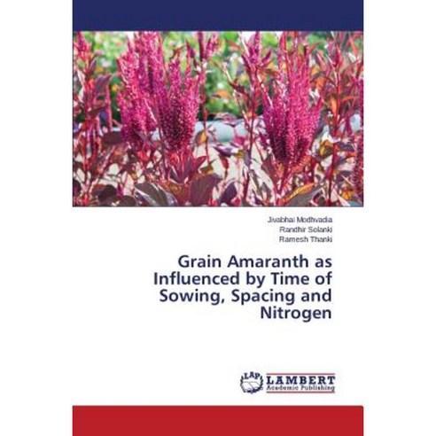 Grain Amaranth as Influenced by Time of Sowing Spacing and Nitrogen Paperback, LAP Lambert Academic Publishing