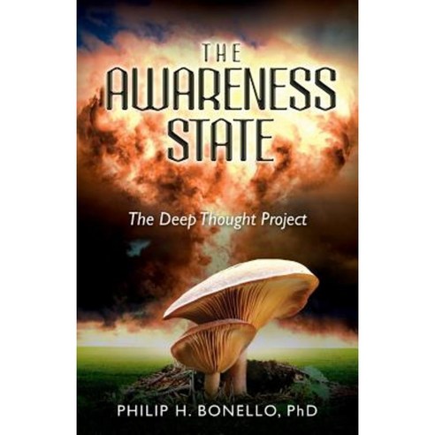 The Awareness State: The Deep Thought Project Paperback, Lake Shore Drive Press