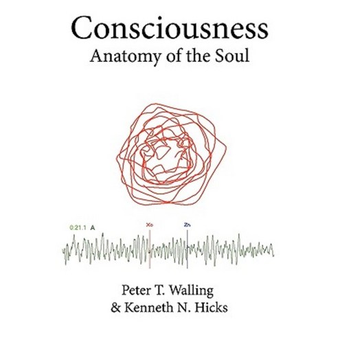 Consciousness: Anatomy of the Soul Paperback, Authorhouse