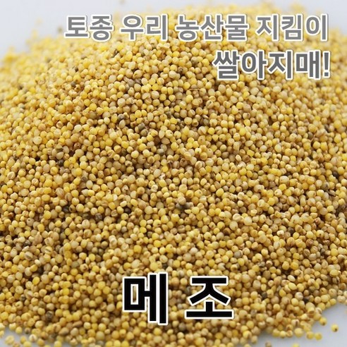2023년 국산 메조 메좁쌀 찰기없는 좁쌀 모조, 1개, 1kg 기장국산