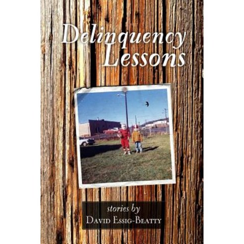 Delinquency Lessons Paperback, Big Black Bird Books