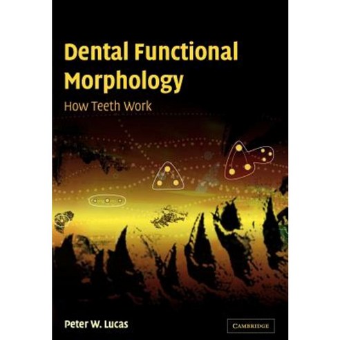 Dental Functional Morphology: How Teeth Work Paperback, Cambridge University Press