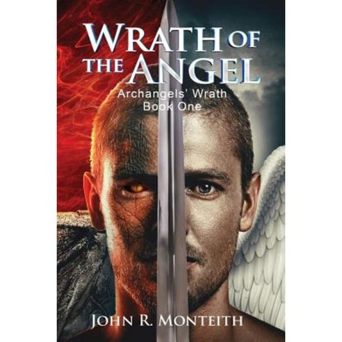 Wrath of the Angel Paperback, Stealth Books