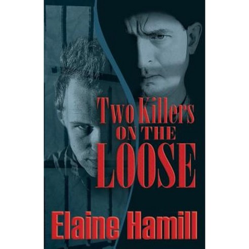Two Killers on the Loose Paperback, Brighton Publishing LLC