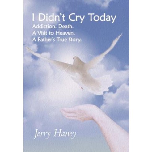 I Didn''t Cry Today: Addiction. Death. a Visit to Heaven. a Father''s True Story Hardcover, WestBow Press