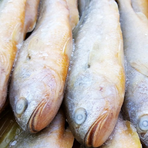 [고래푸드] 부세조기 12마리 1박스, 1개, 3.4kg