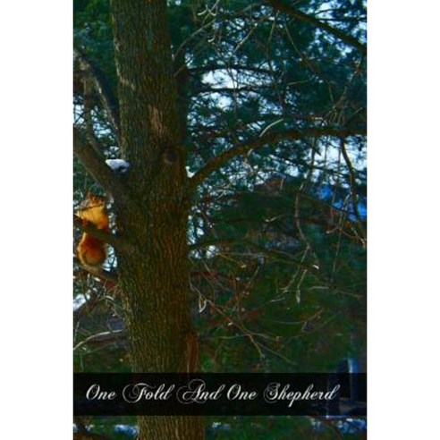 One Fold and One Shepherd: A Discussion Club Manual for Young People''s and Adult Groups Paperback, Createspace Independent Publishing Platform