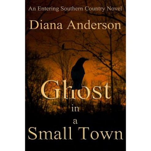 Ghost in a Small Town Paperback, Createspace Independent Publishing Platform