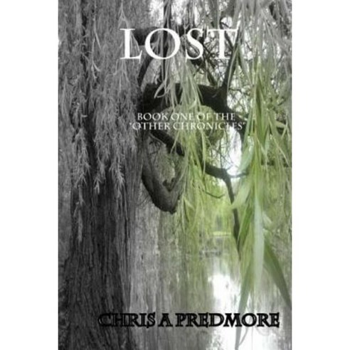 Lost!: (Book One of the Other Chronicles) Paperback, Createspace Independent Publishing Platform
