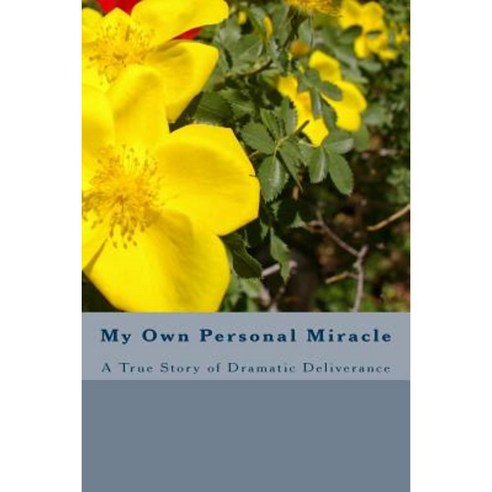 My Own Personal Miracle: A True Story of Dramatic Deliverance Paperback, Createspace Independent Publishing Platform