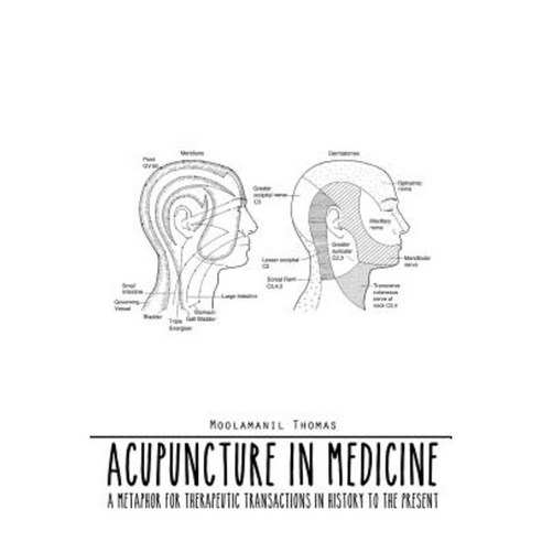 Acupuncture in Medicine: A Metaphor for Therapeutic Transactions in History to the Present Paperback, Authorhouse