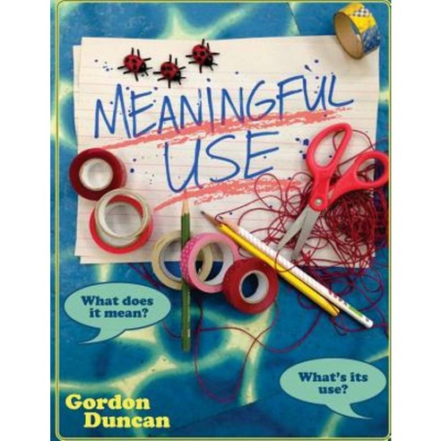 Meaningful Use: What Does It Mean? What''s Its Use? Paperback, Createspace Independent Publishing Platform