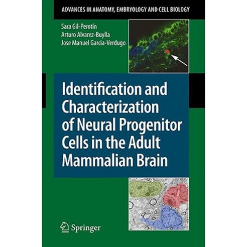 Identification and Characterization of Neural Progenitor Cells in the Adult Mammalian Brain Paperback, Springer