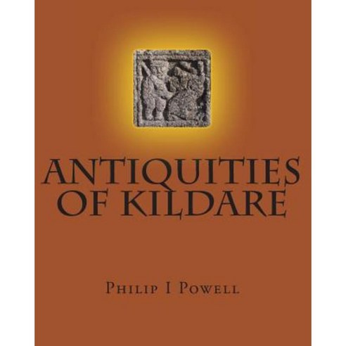 Antiquities of Kildare: Guide to Paperback, Createspace Independent Publishing Platform