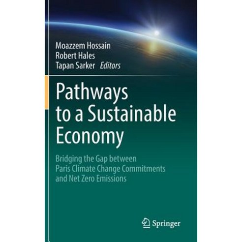 Pathways to a Sustainable Economy: Bridging the Gap Between Paris Climate Change Commitments and Net Zero Emissions Hardcover, Springer
