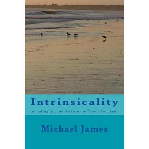 Intrinsicality: Including Second Addition of "Soul Touched" Paperback, Createspace Independent Publishing Platform