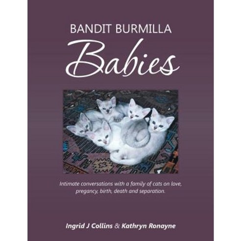 Bandit Burmilla Babies: Intimate Conversations with a Family of Cats on Love Pregancy Birth Death and Separation. Paperback, Balboa Press